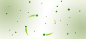 Judith Wilcock - Background